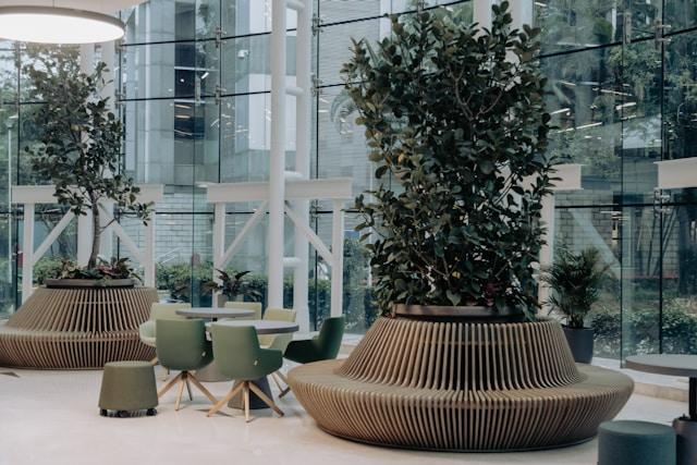 Biophilic Design in Healthcare Facilities: Incorporating Nature for Healing Benefits